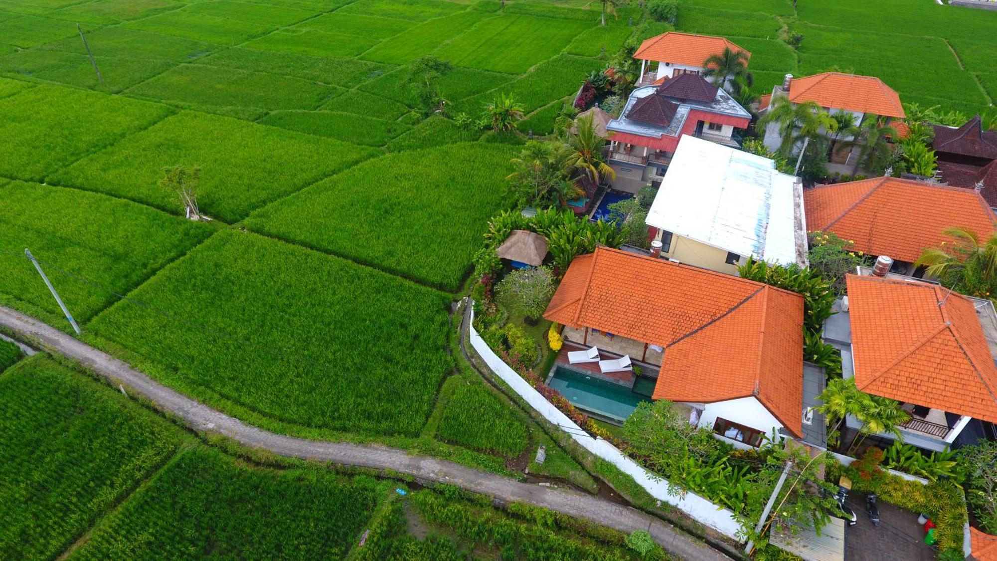 Villa Maya Ubud, Peaceful Rice Field View Екстер'єр фото