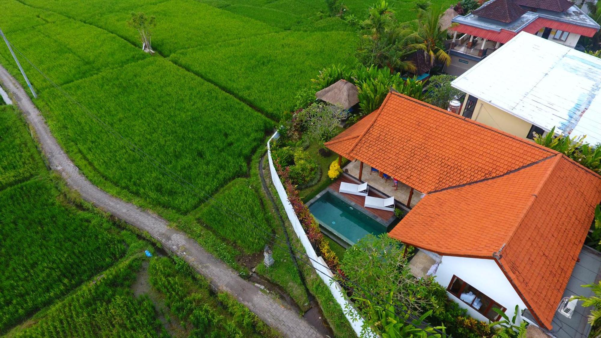 Villa Maya Ubud, Peaceful Rice Field View Екстер'єр фото