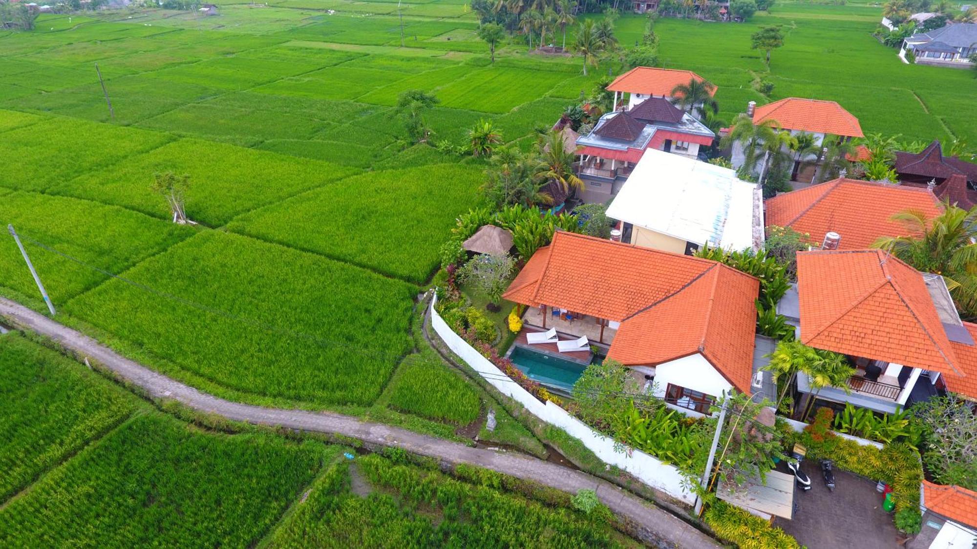 Villa Maya Ubud, Peaceful Rice Field View Екстер'єр фото
